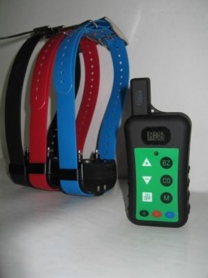 Skole za dresuru pasa Skole za dresuru pasa