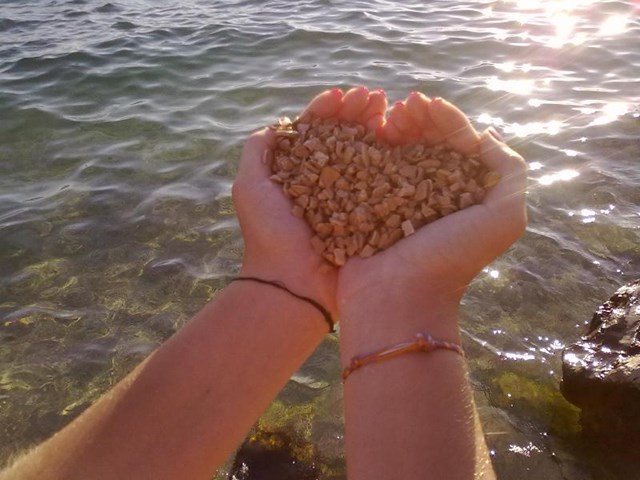 Smokva oglas smokva oglas