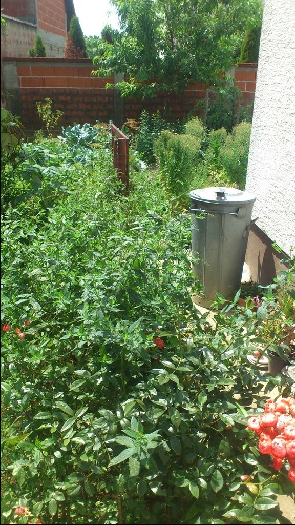 bjelovar list oglasi