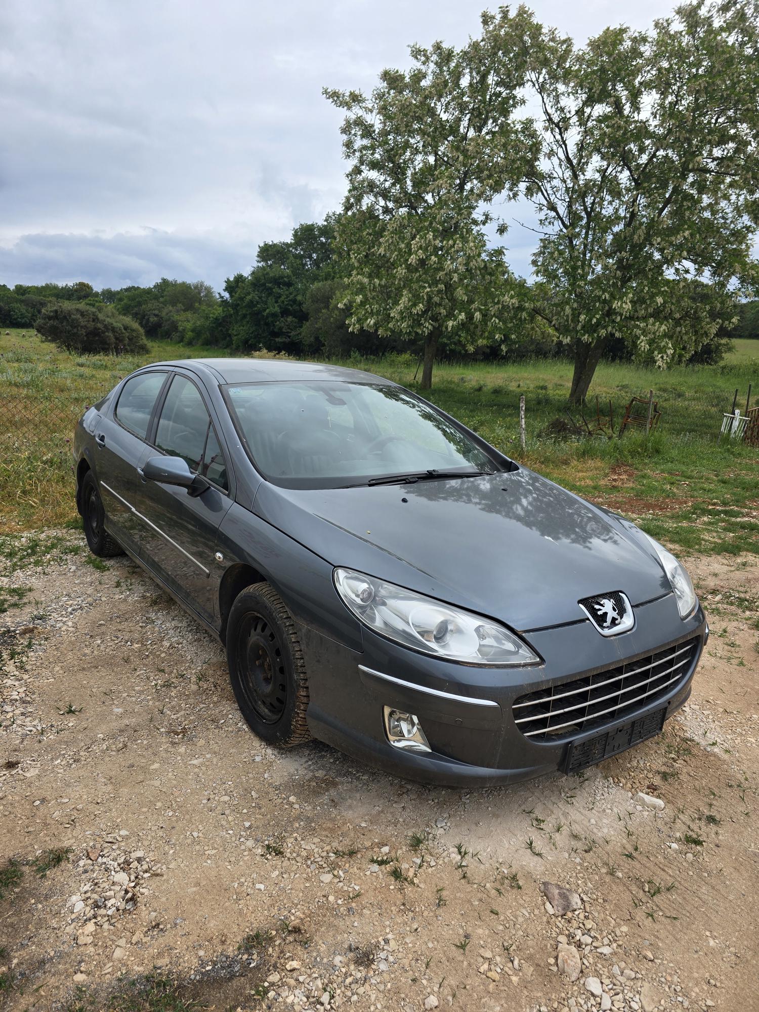 Peugeot 407 | INDEX OGLASI