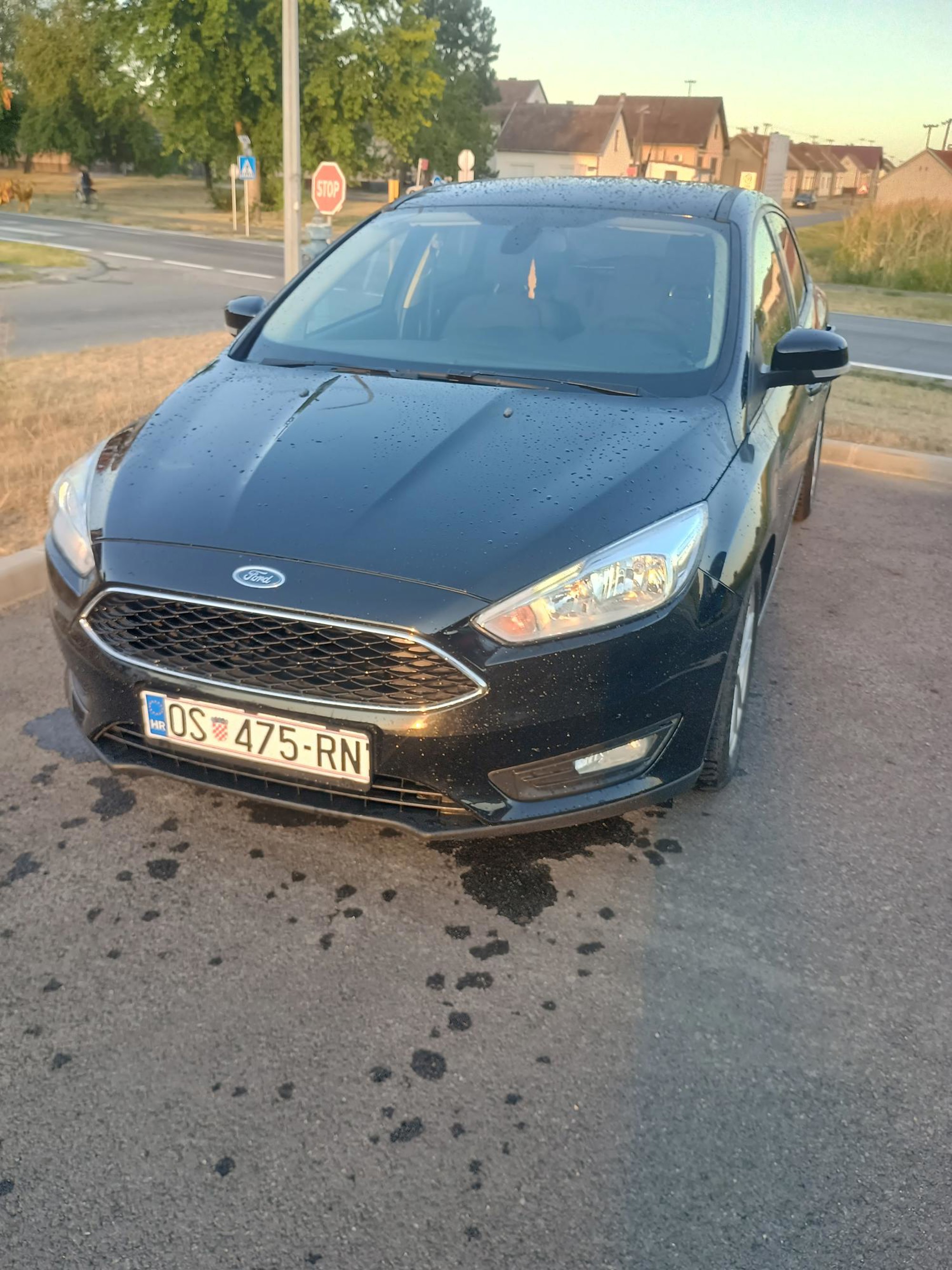 Ford Focus, fotografija 2