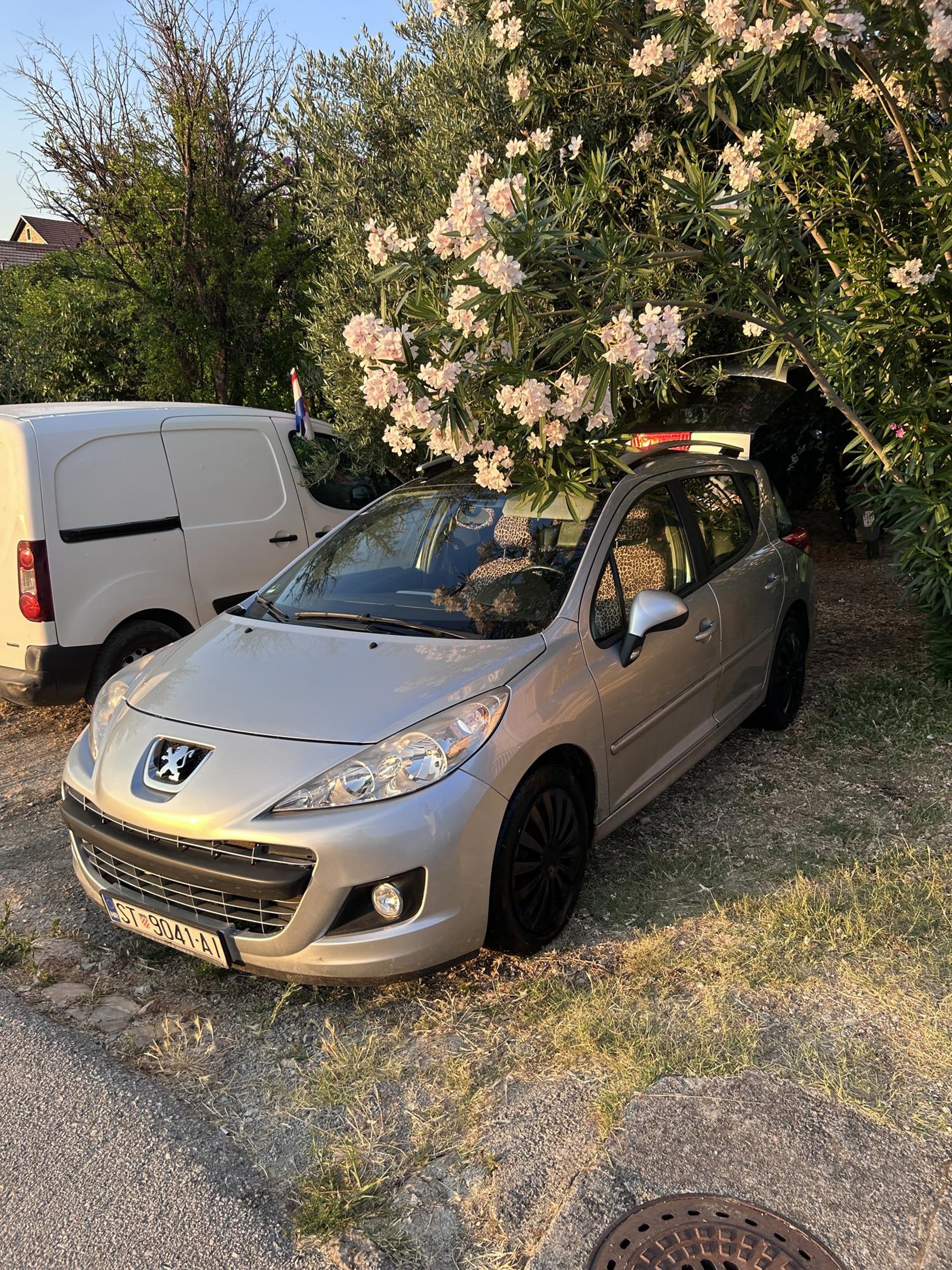 Peugeot 207 SW 1.6 HDi, fotografija 3