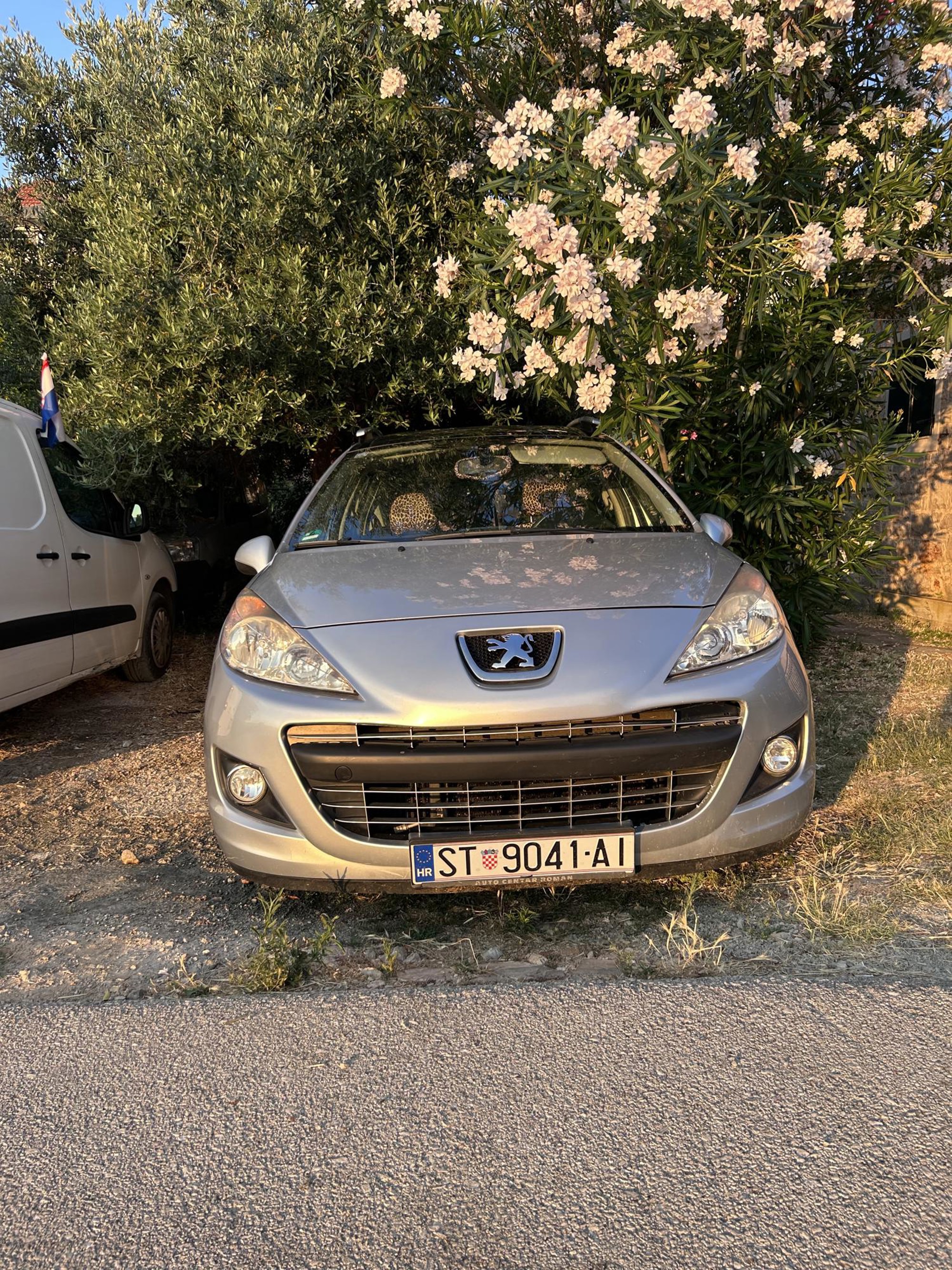 Peugeot 207 SW 1.6 HDi, fotografija 4