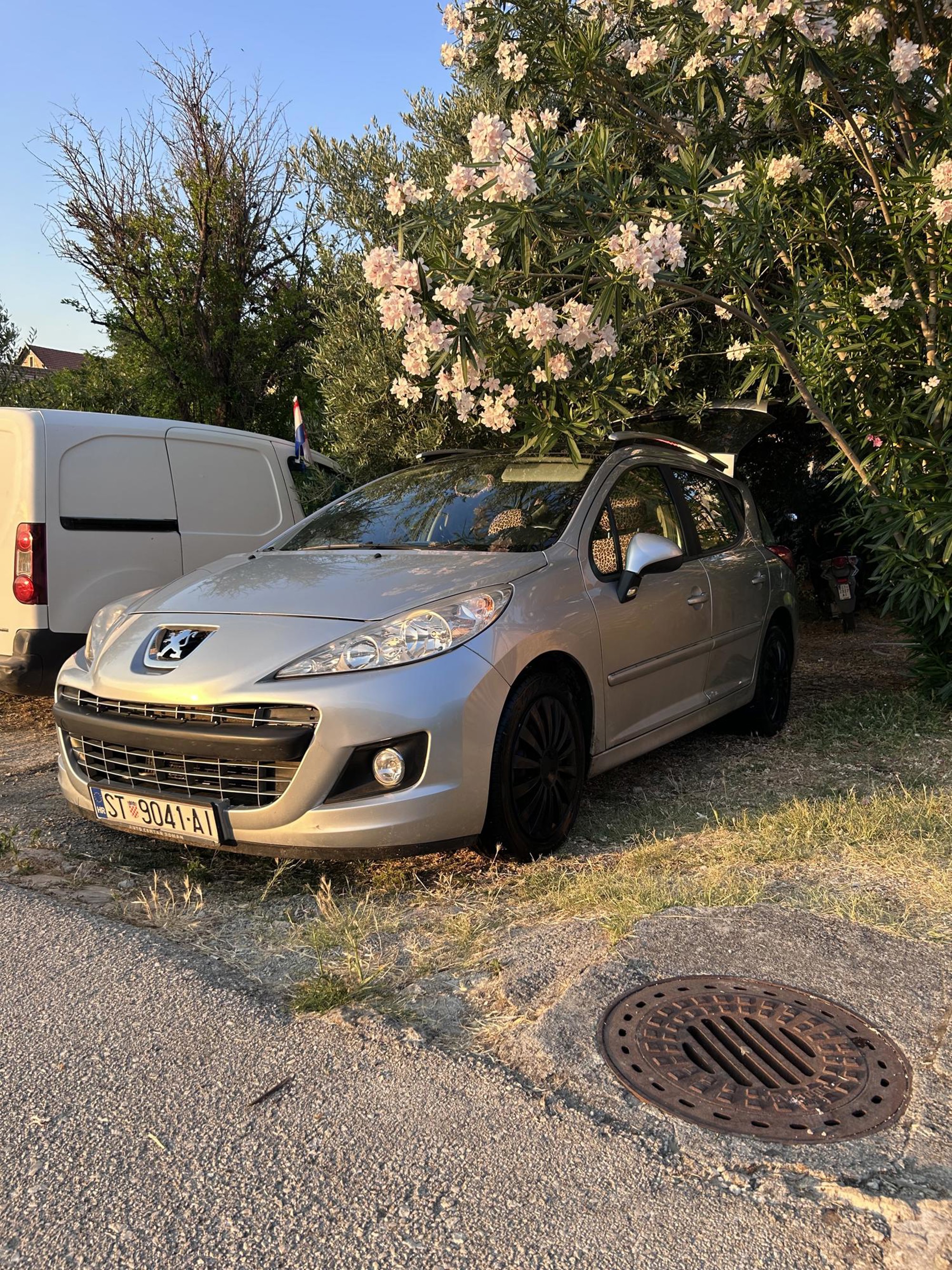Peugeot 207 SW 1.6 HDi, fotografija 2