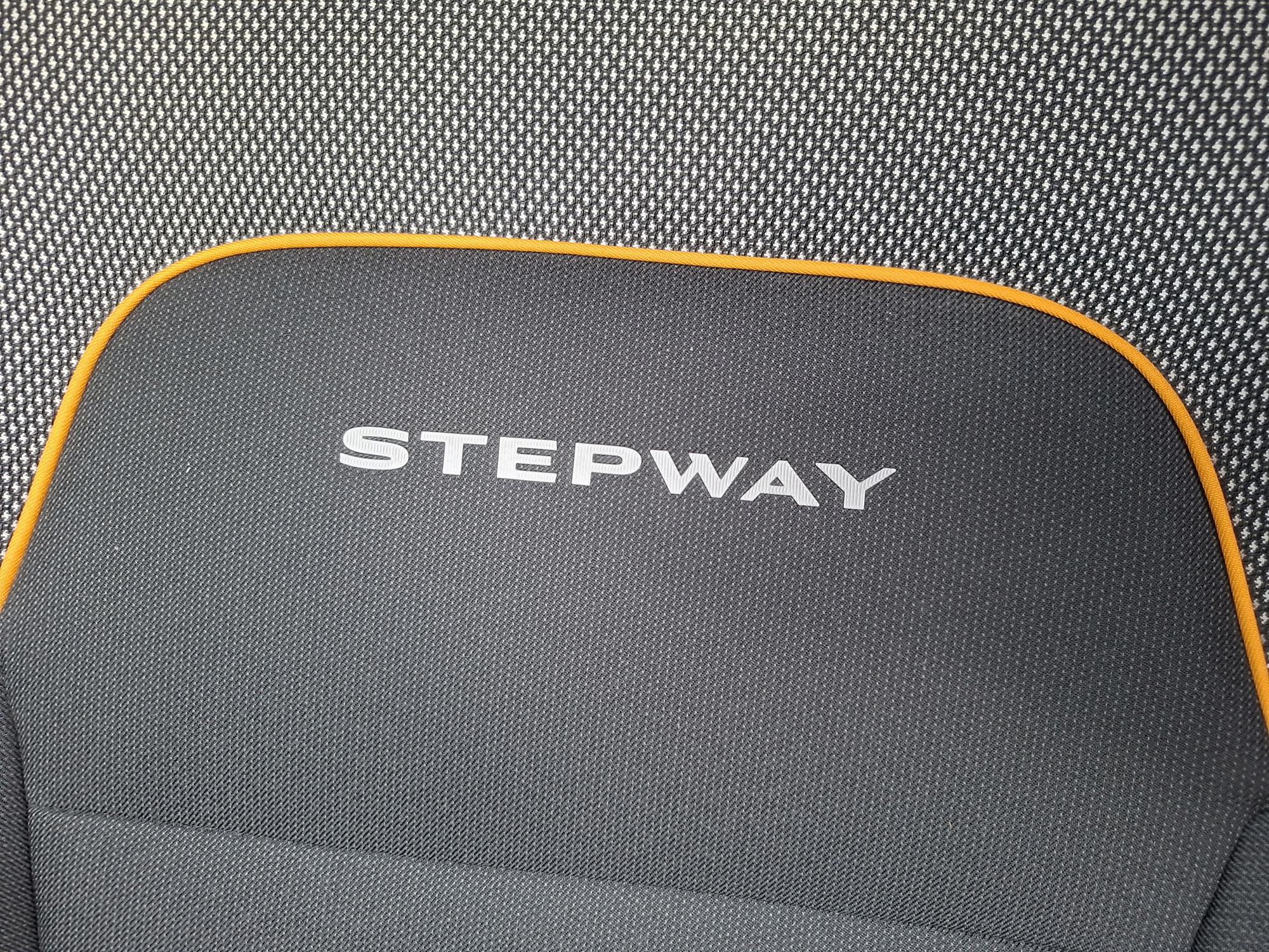 Dacia Sandero Stepway, fotografija 14