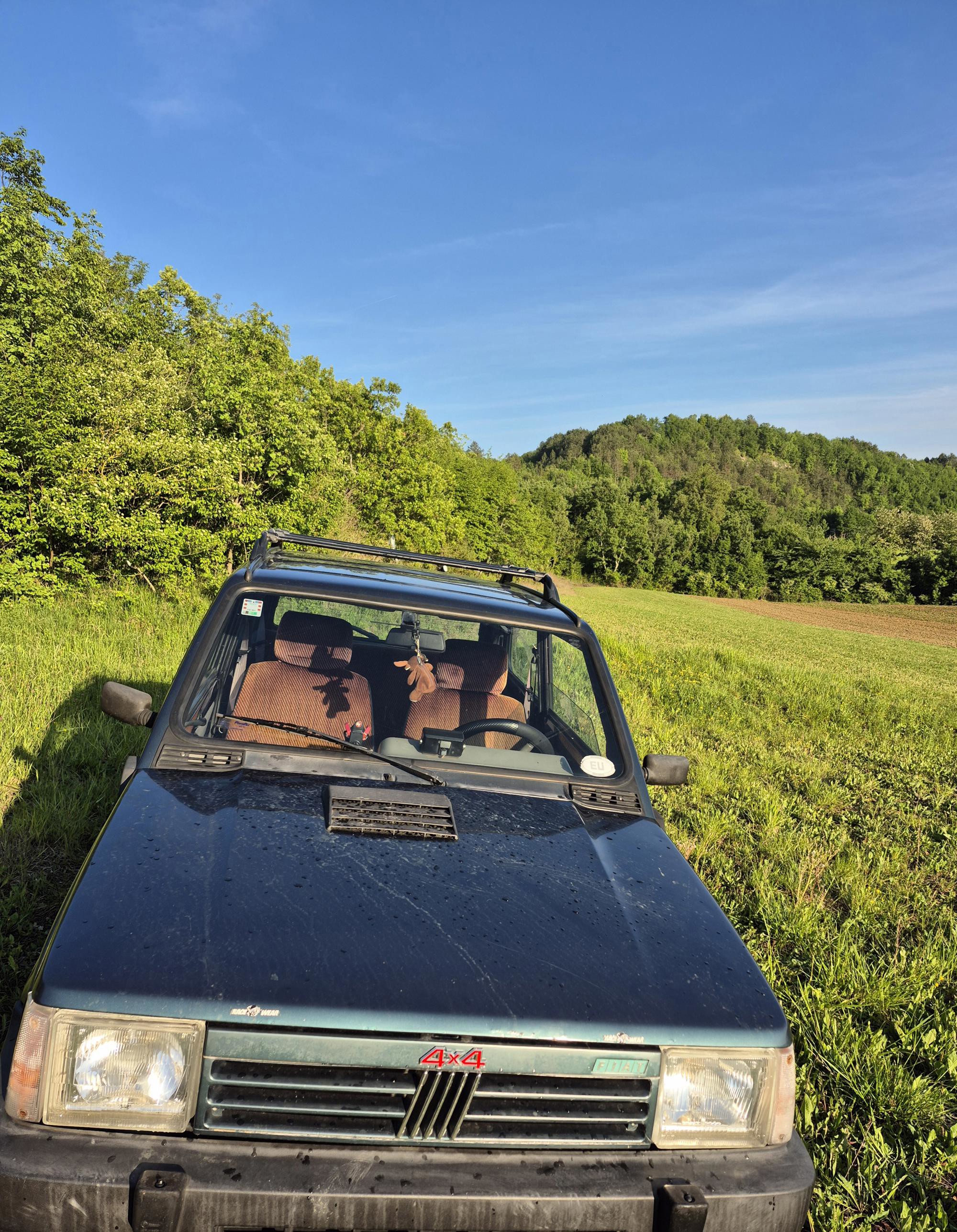 Fiat Panda 4x4 Country Club - Prodaja, fotografija 3
