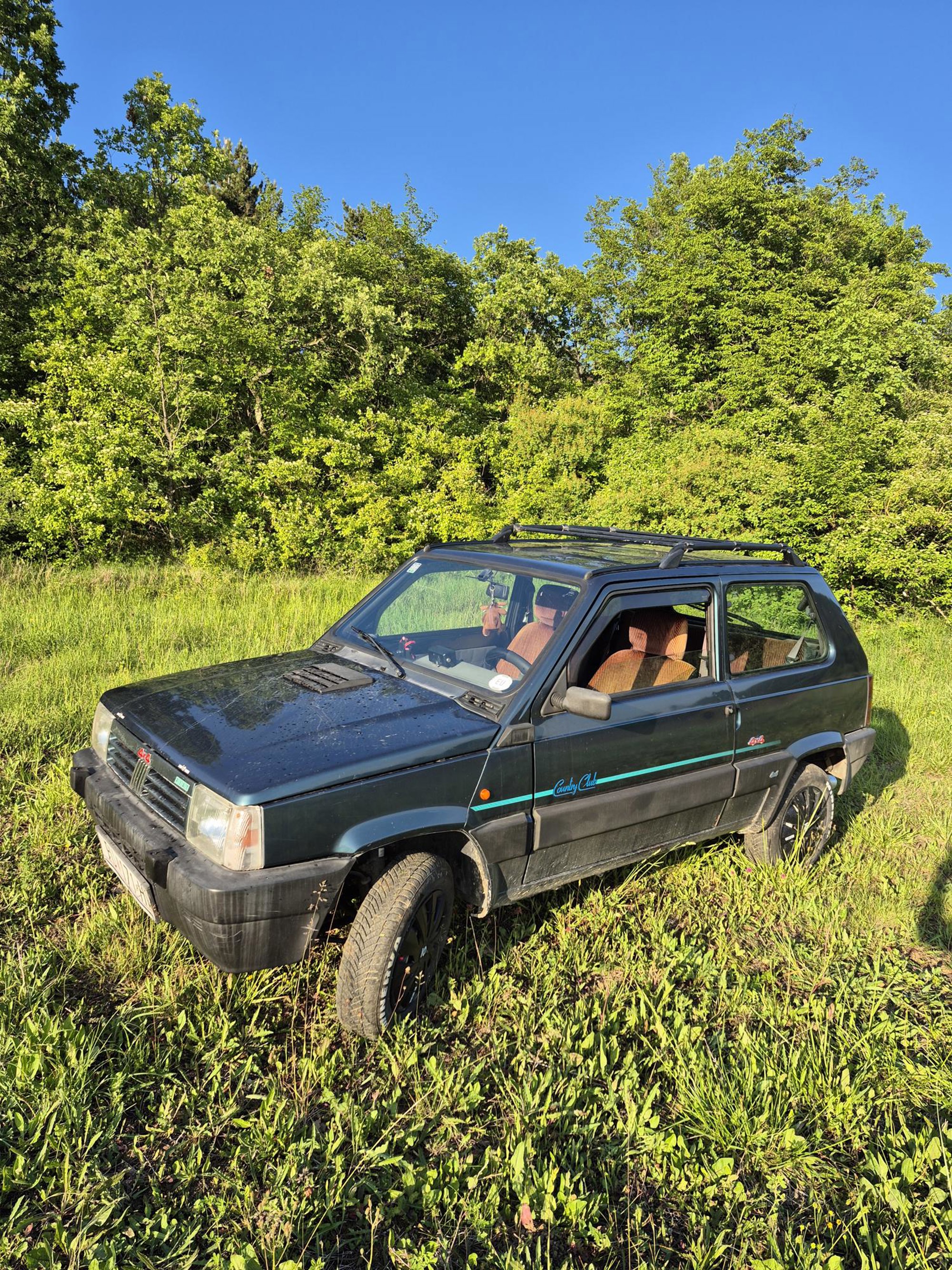 Fiat Panda 4x4 Country Club - Prodaja, fotografija 2