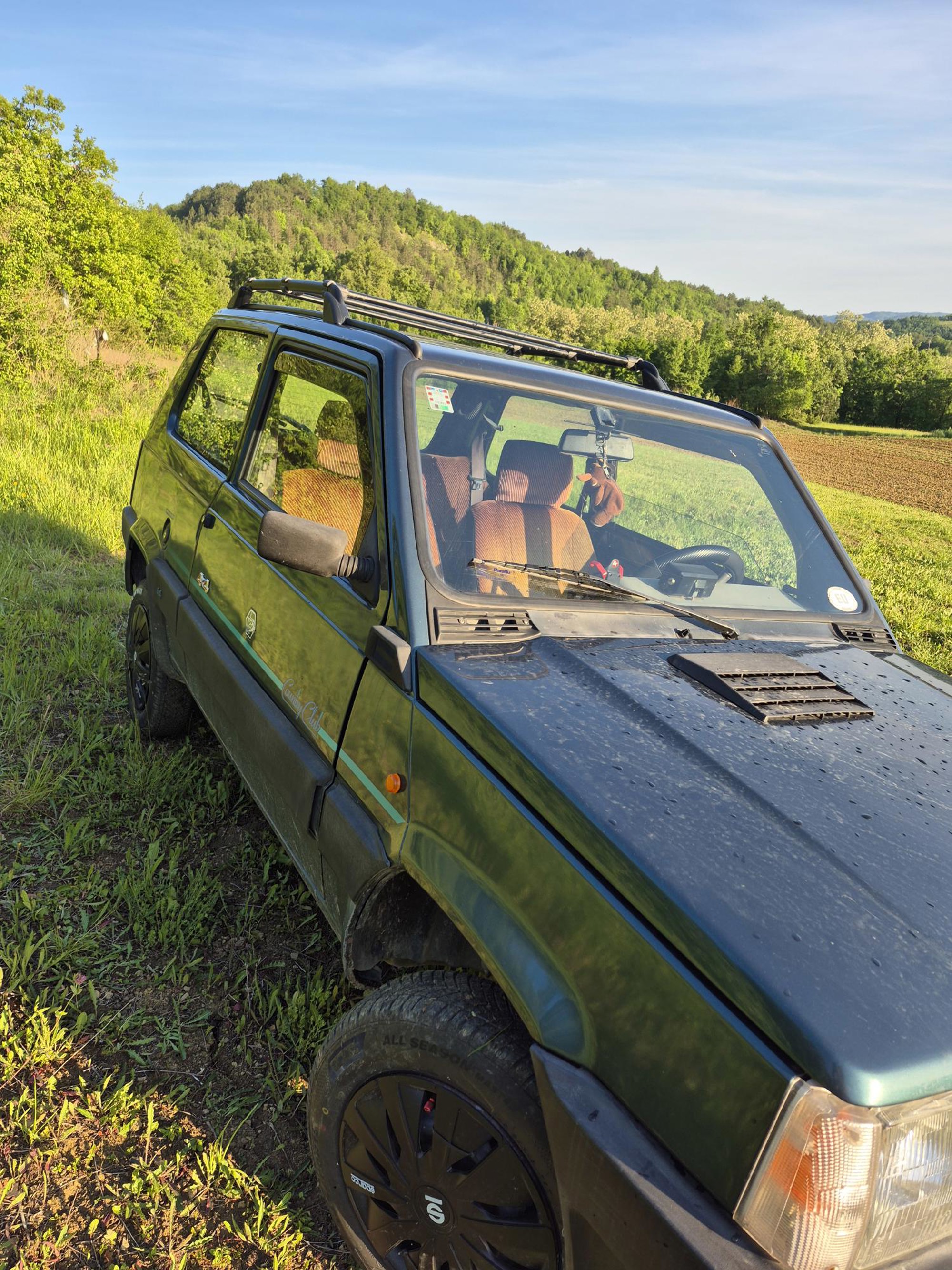 Fiat Panda 4x4 Country Club - Prodaja, fotografija 4