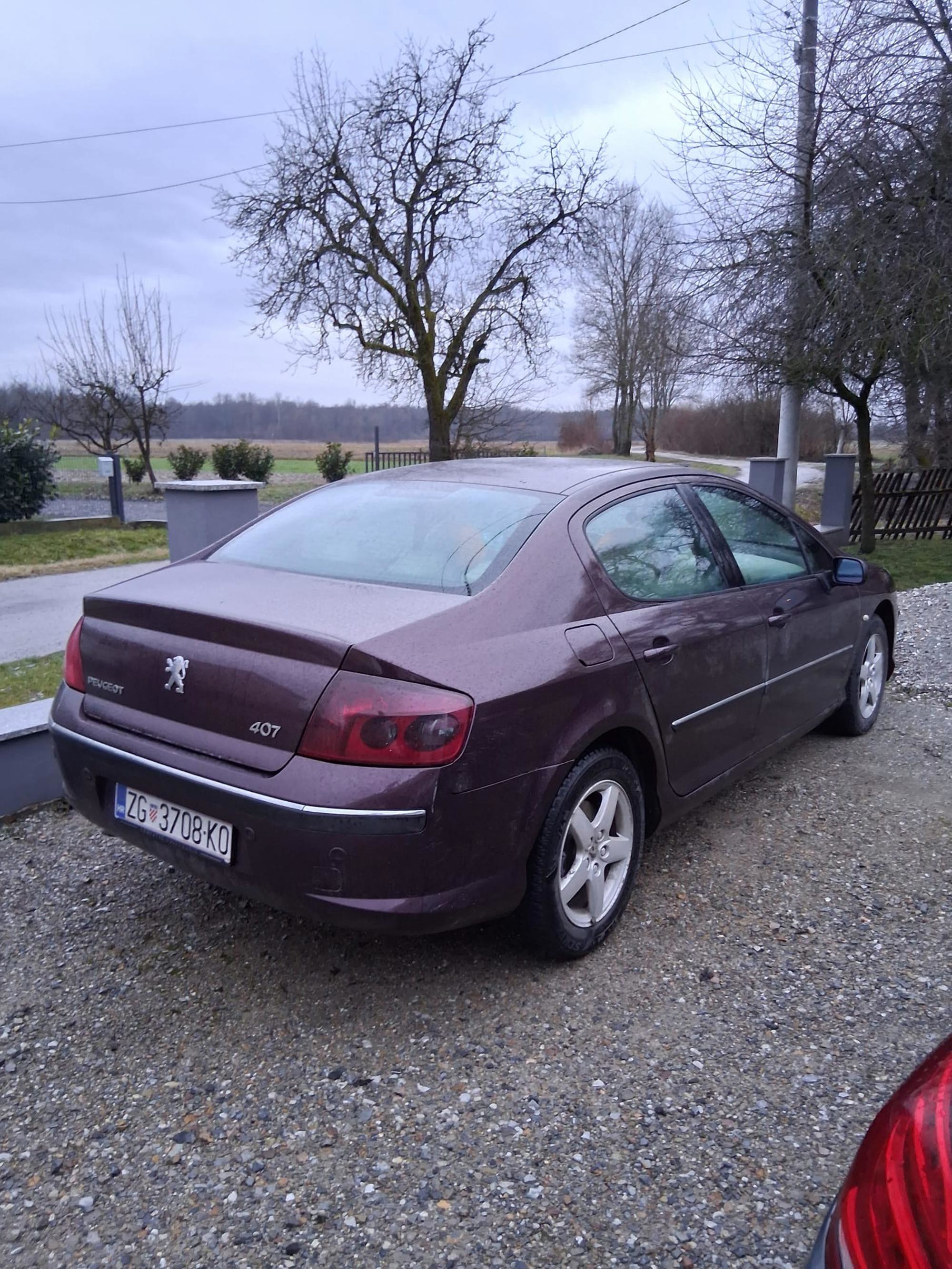 Peugeot 407, fotografija 2