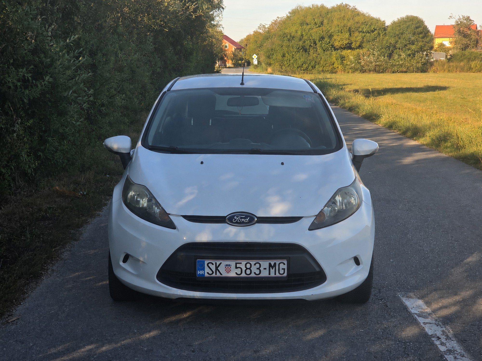 Ford fiesta 1.6tdci 5 vrata, fotografija 3