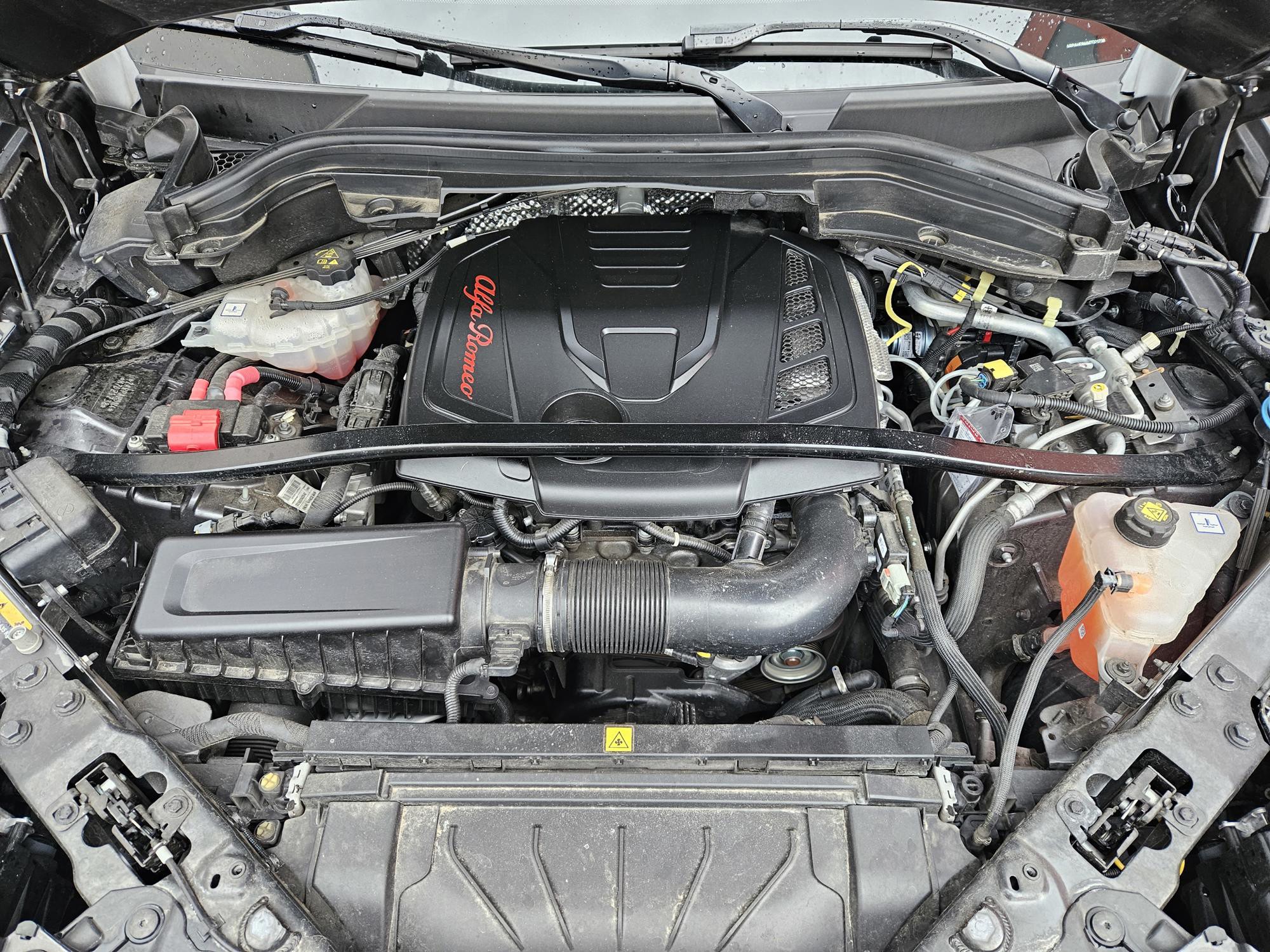 Alfa Romeo Stelvio 2.0T Q4 AT8 280HP Veloce & Quadriofoglio Carbon edition, fotografija 2