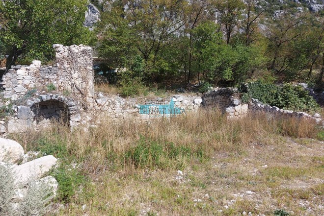 Starina ruševina