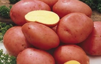 Krumpir domaći