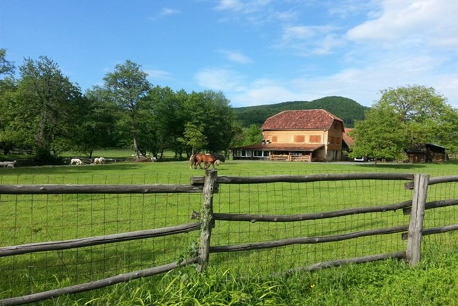 *** Prodaje se ranč konja u Slavoniji s planinskim izvorom...!!! ***